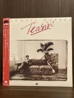 Cornell Dupree　TEASIN'