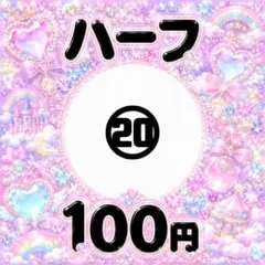 ハーフ⑳ 100