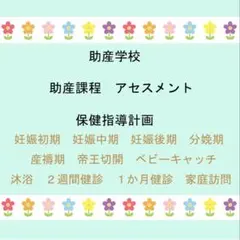 2026年最新】母子保健研修センター助産師学校の人気アイテム - メルカリ