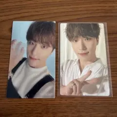 seventeen ディノ トレカ