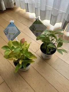 may様 リクエスト 2点 まとめ商品