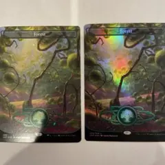 MTG Forest 2枚 UNF 239 490