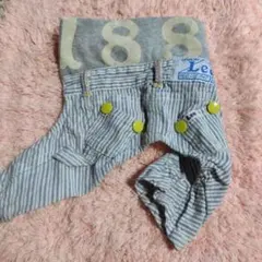 Lee ストライプ犬服 Tパンツのサムネイル