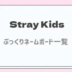 stray kids ぷっくりネームボード