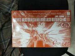 HG 1/144 ZGMF-X42Sガンダムデスティニーハイネ機