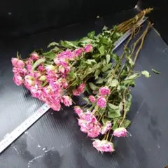 メグねず様 リクエスト 5点 まとめ商品