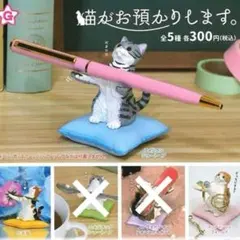 猫がお預りします　スコティッシュフォールド　三毛猫　アメリカンショートヘア