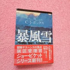 【おまとめ可】暴風雪