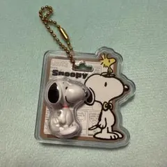 Snoopy package charm Snoopy