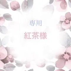 245 紅茶様 ぬい服 カスタムオーダー 10〜12cm