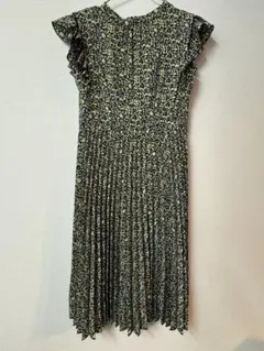 Item thumbnail for item f8c74ddc-8c79-4523-9f25-4f12c63cc949