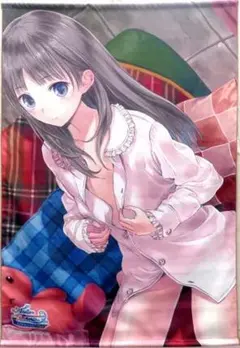 2026年最新】トトリのアトリエ タペストリーの人気アイテム - メルカリ