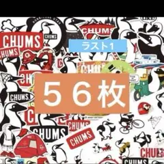 56枚　アウトドア　CHUMS チャムス ステッカー　ブービーバード　シール