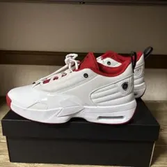 新品！JORDAN MAX AURA ６