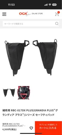 Item thumbnail for item 57e8d00d-d081-48c5-9fa5-ead548d31165