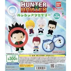HUNTER x HUNTER めじるしアクセサリー ゴン