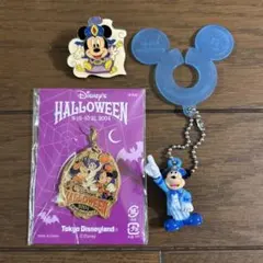 【値下げ中‼︎】東京ディズニーランド 2004 ハロウィン チャーム他３点セット