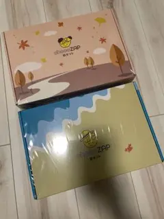 チョコザップ(ChocoZAP)夏キット＆秋キットのサムネイル
