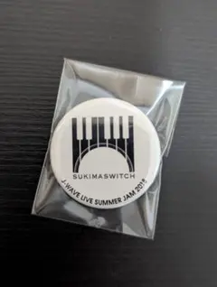 スキマスイッチ ミュージシャン