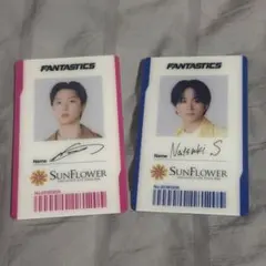 FANTASTICS SUNFLOWER ファンタ アプグレ 堀夏喜 澤本夏輝