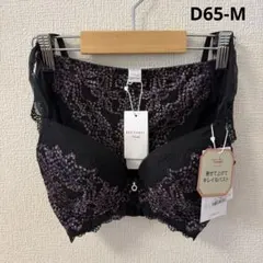 トリンプ　プレミアム　レッドレーベル　ブラ＆ショーツ　D65-M