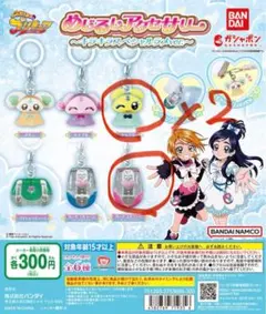 ふたりはプリキュア めじるしアクセサリー