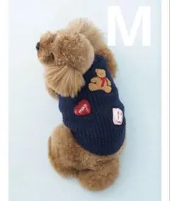 Item thumbnail for item c4b700d5-4c21-41b1-93de-b37c7b5c7f51