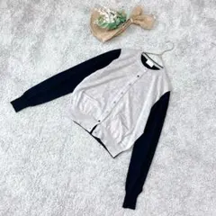 Item thumbnail for item e5d0db49-fe43-4e5d-873f-dfa7536d938b