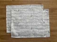 おんぷ柄 ランチョンマット 2枚セット 30cm✖️40cm