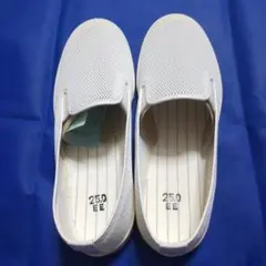 Item thumbnail for item b31a7454-3084-498a-9623-10b366fb80d8