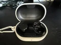 Bose QuietComfort Earbuds 充電ケース付き　値下げ