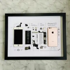 【特別価格】iPhone 5c Green 標本アート ボックスフレーム仕様 iPhone 標本アート ボックスフレーム仕様 - メルカリ