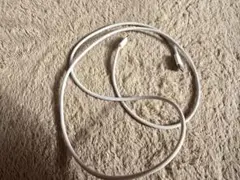 Apple純正の編み込み式USB-C充電ケーブル