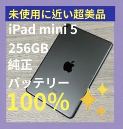 超美品iPad mini 5大容量256GB
