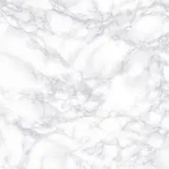 専用ページ しいちゃん様