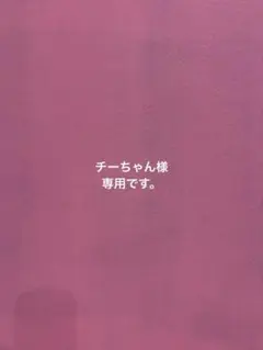 チーちゃん様 リクエスト 5点 まとめ商品