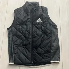 ダウンベスト 100