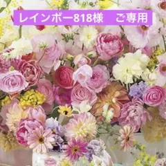 かづきれいこ　デザインテープ❤︎❤︎270㎜×170㎜×5枚セット【最新版・未開封】 2025年最新】かづき テープの人気アイテム - メルカリ