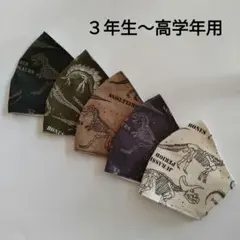 子供用マスク　恐竜　５枚セット　３年生〜高学年用