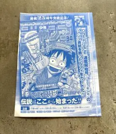 ワンピースカード　モンキー・D・ルフィ：週刊少年ジャンプ付録 P-033 P①