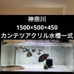 2026年最新】アクリル水槽 1500の人気アイテム - メルカリ