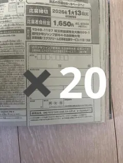 週刊少年ジャンプ 2026年4・5号　ONE PIECE　応募シート20枚セット