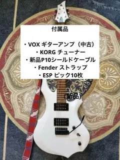 EDWARDS E-S-110PR SUGIZOモデル - メルカリ