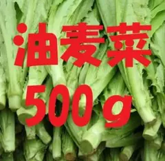 北海道産 ふきのとう 5キロ 朝採り 北海道産 ふきのとう 5キロ 朝採り - メルカリ