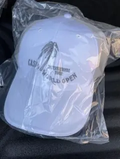 非売品CASIO INTERNATIONAL TOUR WORLD OPEN