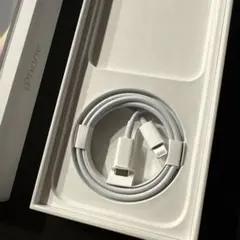 iPhone ライトニングケーブル タイプC 充電器 Apple 純正品