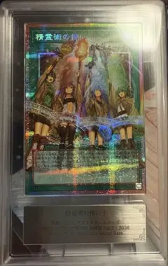 ARS鑑定10】憑依装着ライナ 絵違い プリズマ プリシク 日版 極美品