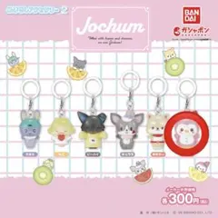 JOCHUM ぽぽ めじるしアクセサリー