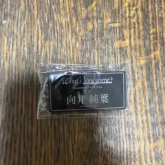 櫻坂46 向井純葉 キーホルダー What's lonesome?