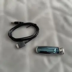 SONY Walkman NW-S603 ウォークマン　付属品多数 SONY Walkman NW-S603 ウォークマン 付属品多数 SONY NW-S603